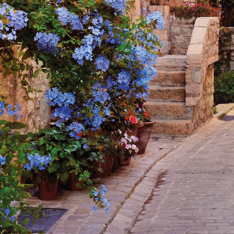 fototapet-oras-mediteranean-vicolo-detaliu