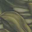 Tapet Jungla tropicala Monstera