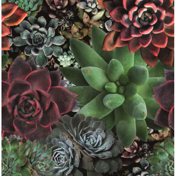 Fototapet floral multicolor Smart Art