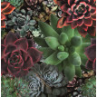 Fototapet floral multicolor Smart Art