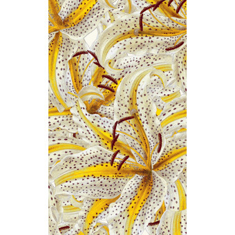 Fototapet Crini Smart Art