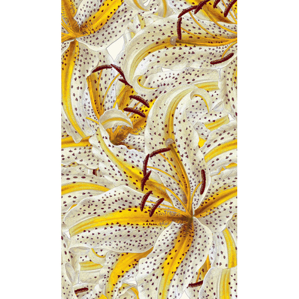 Fototapet Crini Smart Art