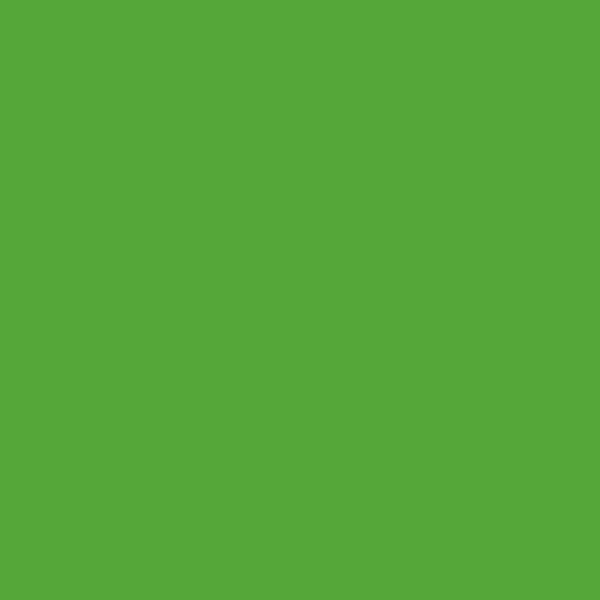 Spray vopsea Biodur Verde RAL 6018