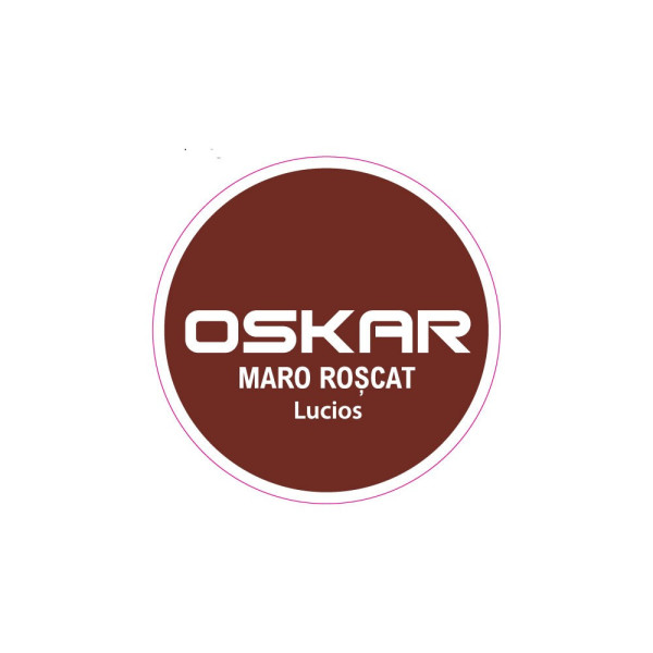 Vopsea Oskar Direct pe Rugina Maro Roscat Lucios 2.5L