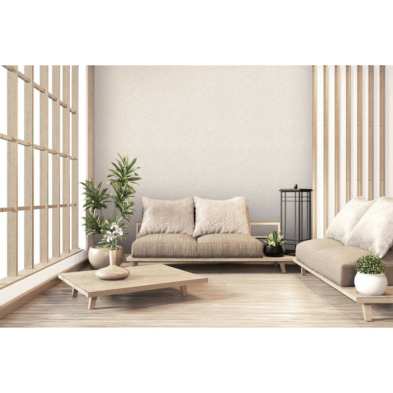 tapet-beton-vopsit-crem-ambient