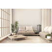 tapet-beton-vopsit-crem-ambient