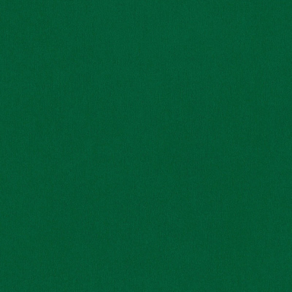 Tapet beton vopsit verde