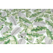 autocolant-decorativ-frunze-liva