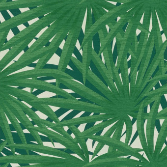 Tapet Plante tropicale...