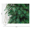 fototapet-jungla-tropicala-monstera-dimensiuni