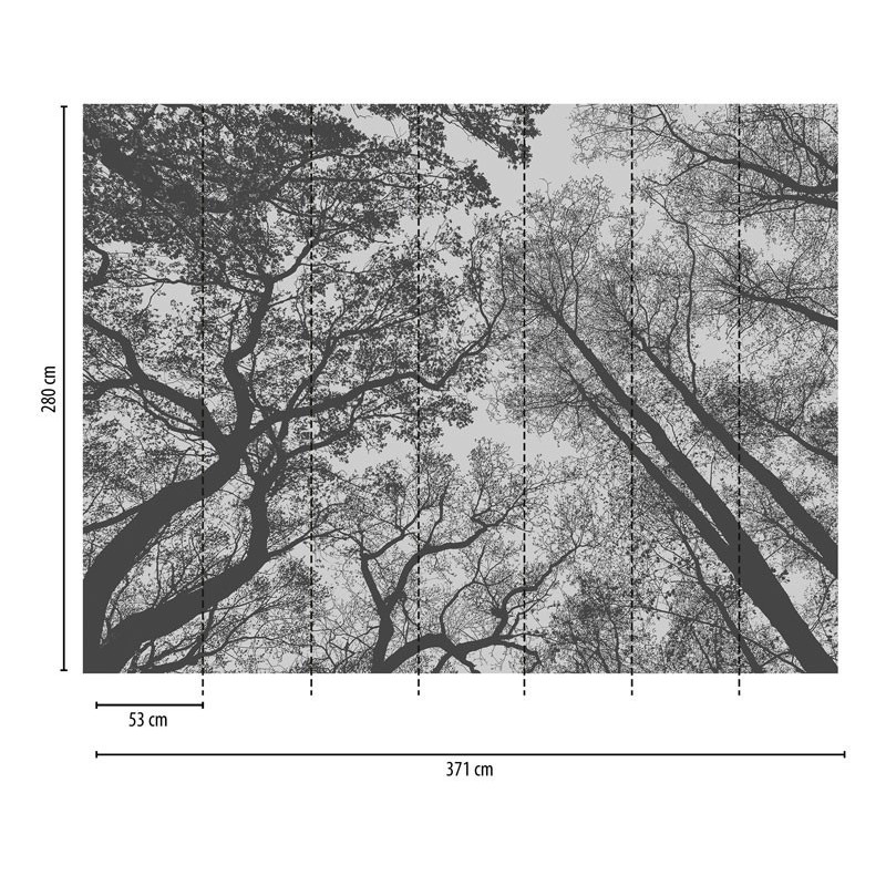 fototapet-padure-alb-negru-dimensiuni