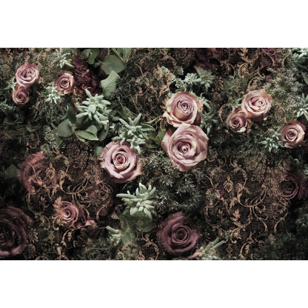 Fototapet Velvet Roses