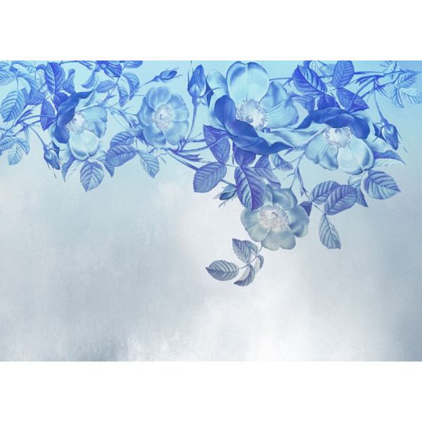 Fototapet albastru Blue Aura