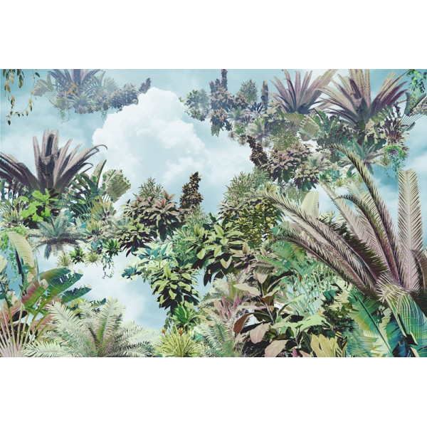 Fototapet design Padure tropicala