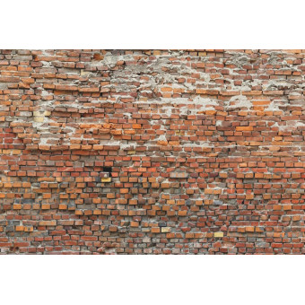 Fototapet Zid rustic de...