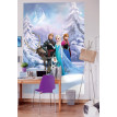 Fototapet Frozen - Regatul iernii
