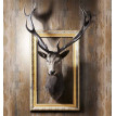 folie-autocolanta-lemn-rustic-ambient